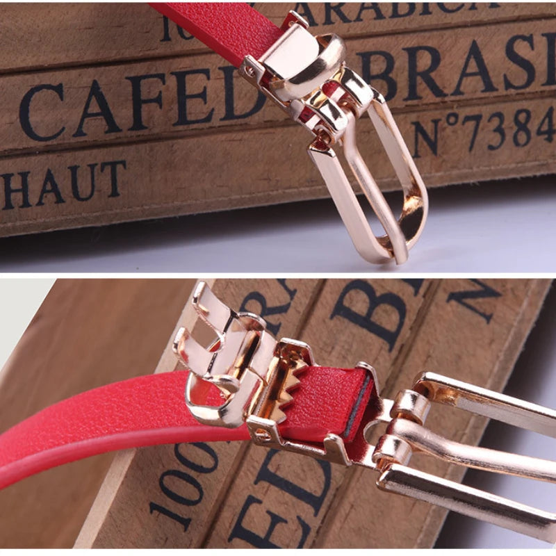 Fashion Belts