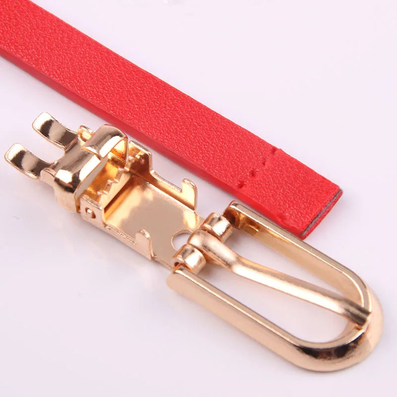 Fashion Belts